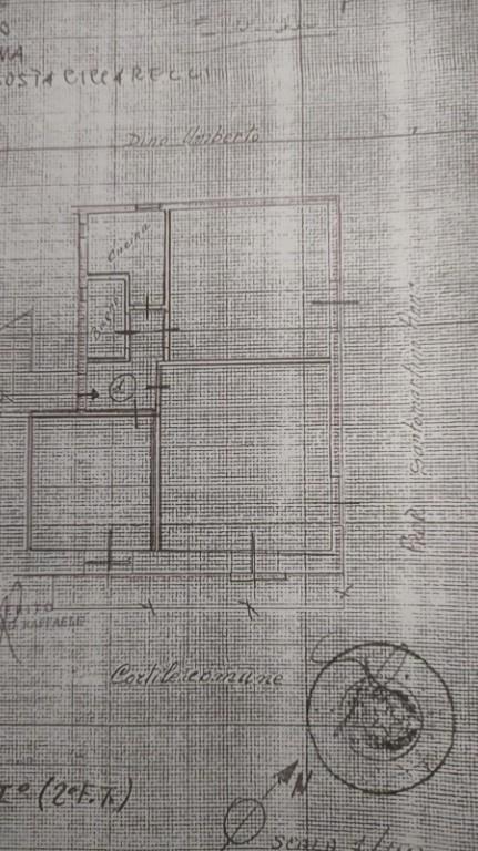 immagine annuncio 6 di 7