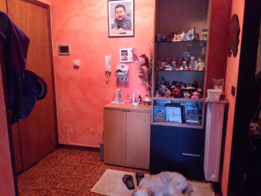 immagine annuncio 3 di 7