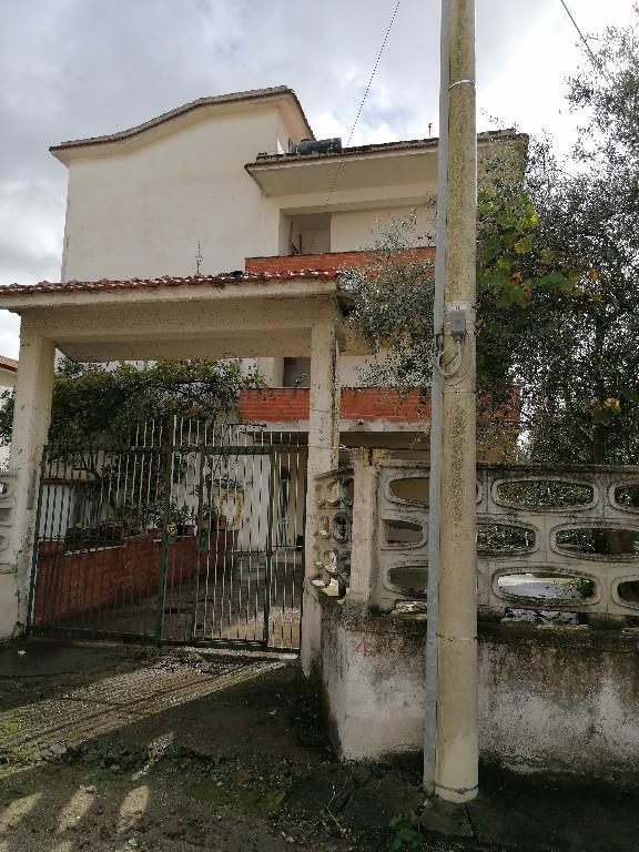 immagine annuncio 5 di 7