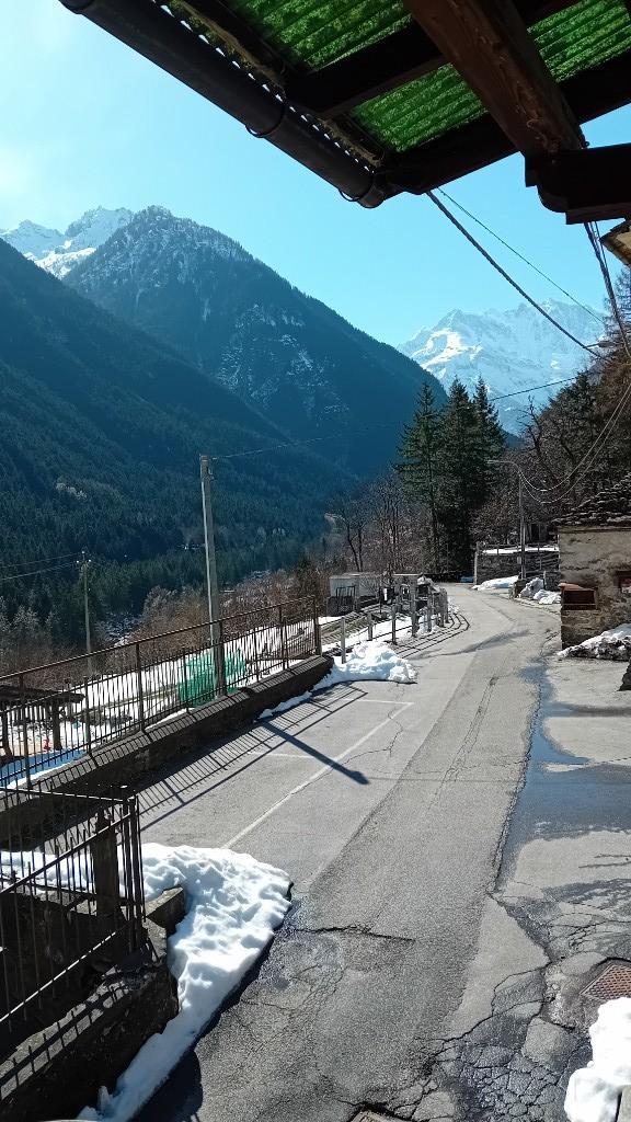 immagine annuncio 3 di 6