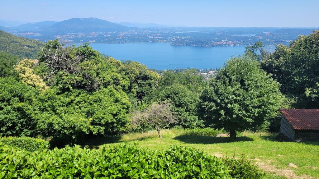 immagine annuncio 2 di 7