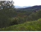 Foto - Terreno Agricolo/Coltura in Vendita a Lucca - Aquilea