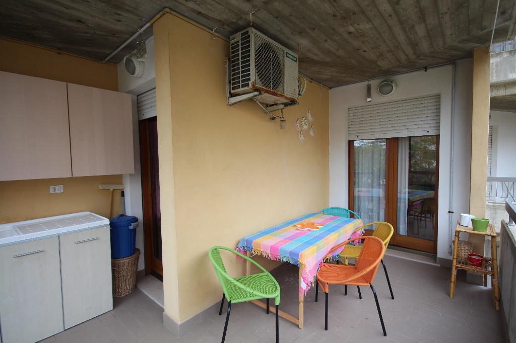 immagine annuncio 1 di 7