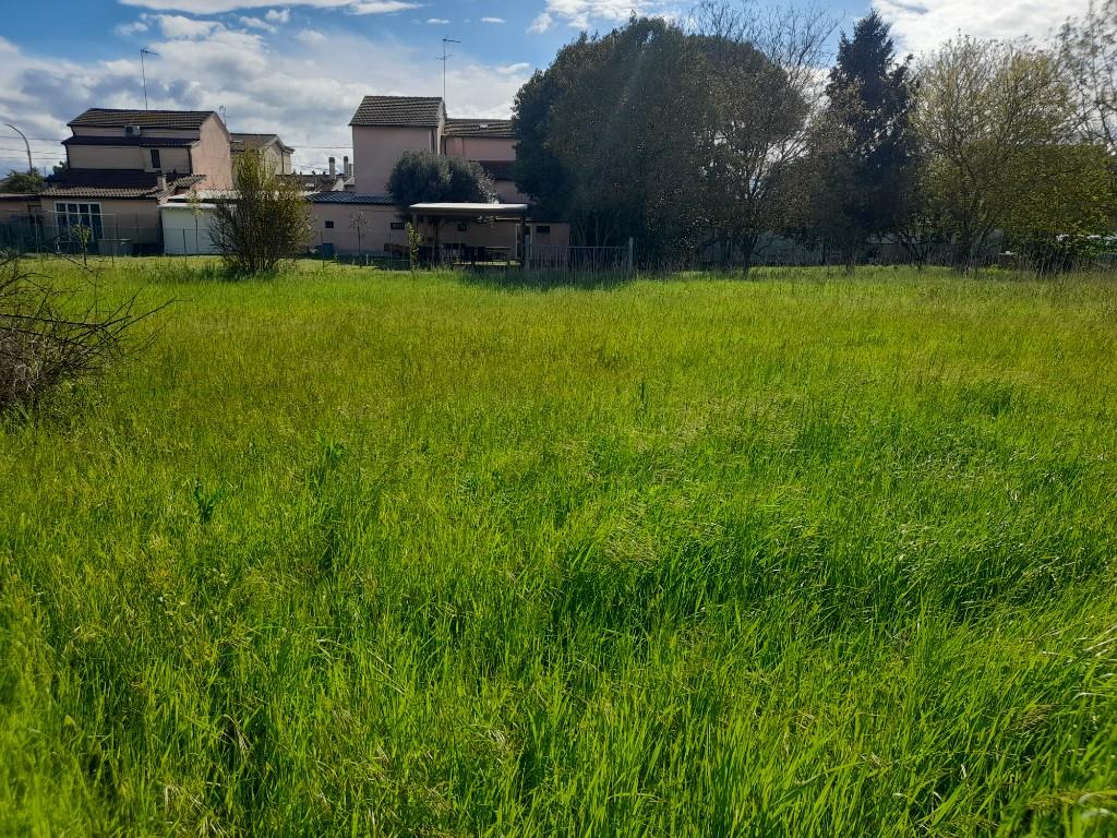 immagine annuncio 6 di 7