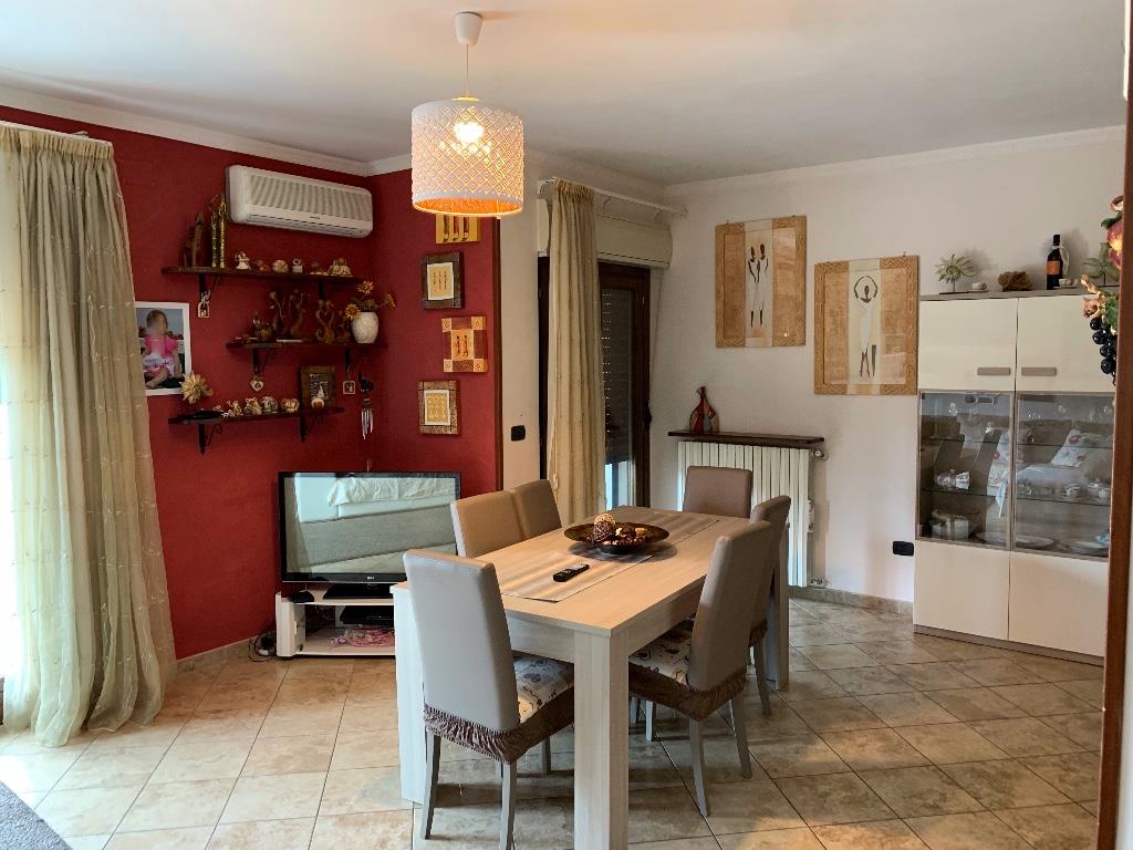 immagine annuncio 2 di 7