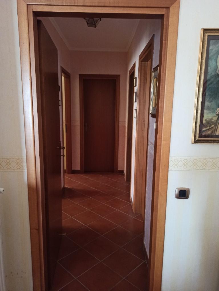 immagine annuncio 5 di 7