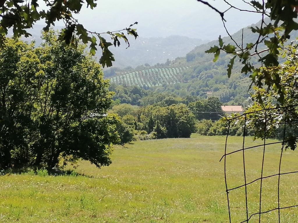 immagine annuncio 4 di 7