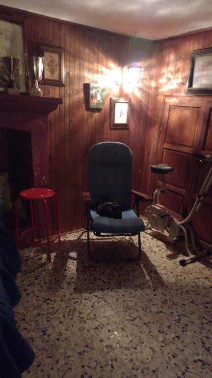 immagine annuncio 2 di 7