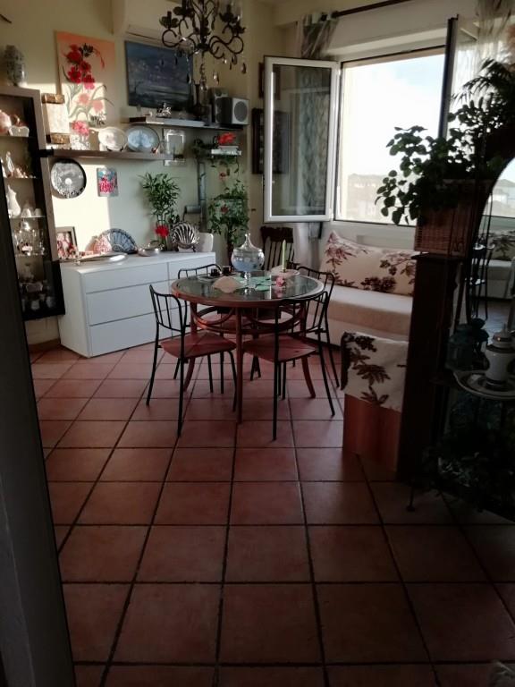 immagine annuncio 3 di 7
