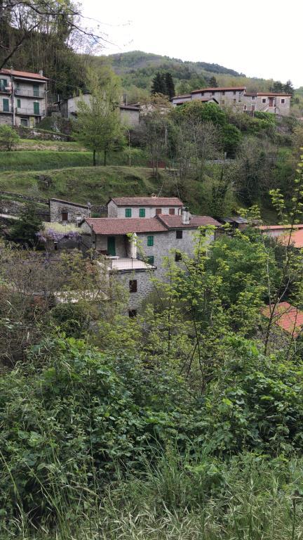 immagine annuncio 6 di 7