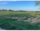 Foto - Terreno Agricolo/Coltura in Vendita a Monte San Vito - Borghetto