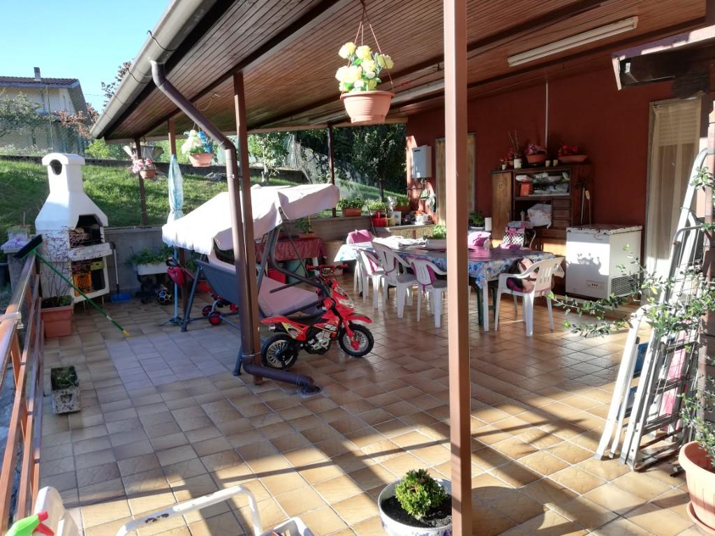 immagine annuncio 6 di 7