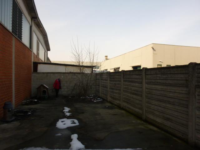 immagine annuncio 4 di 7