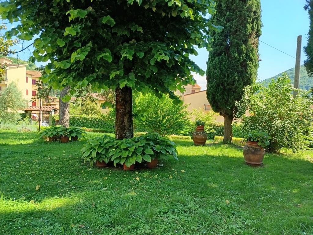 immagine annuncio 4 di 7