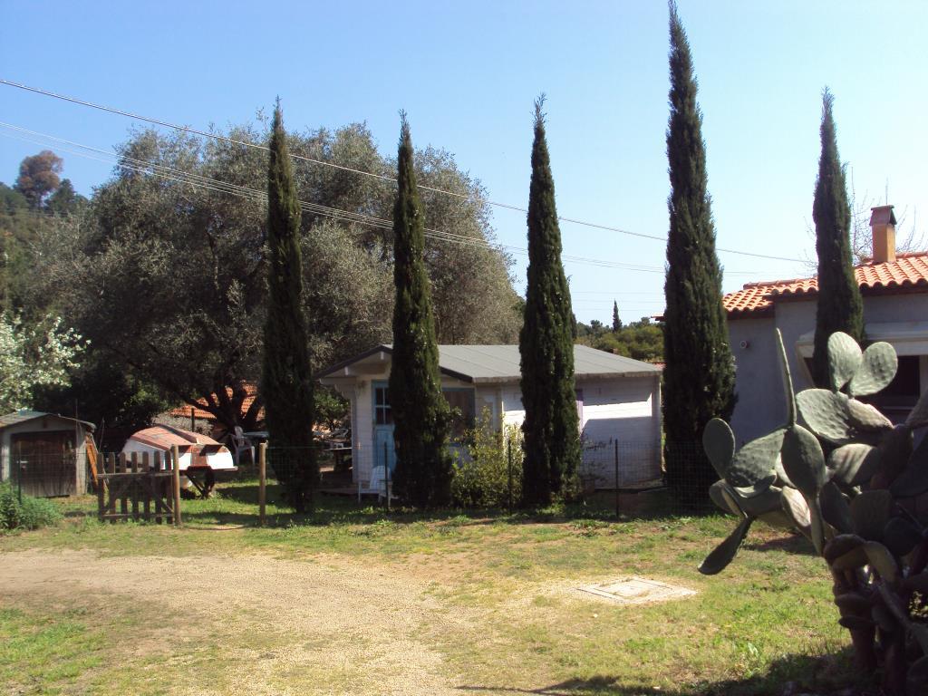 immagine annuncio 3 di 7