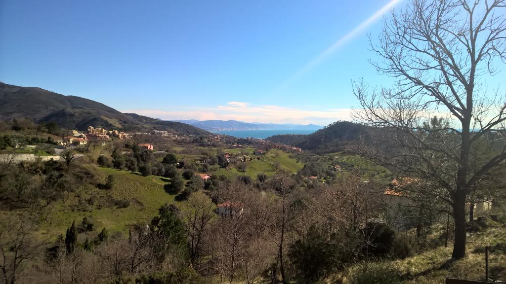 immagine annuncio 1 di 2