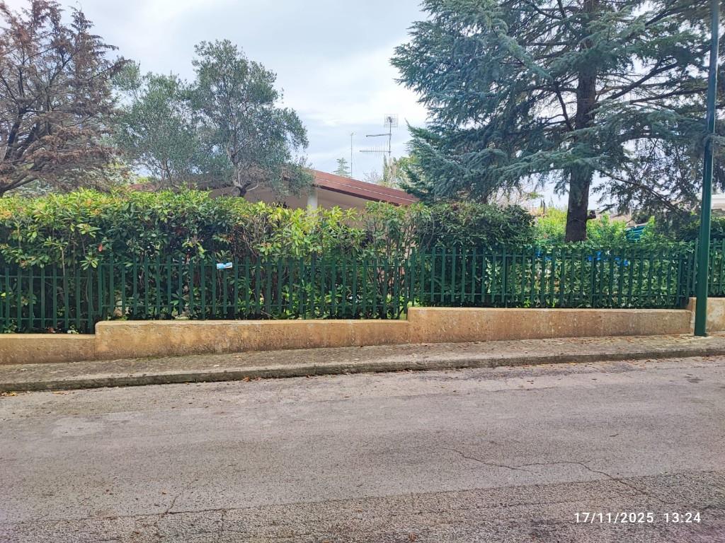 immagine annuncio 3 di 7