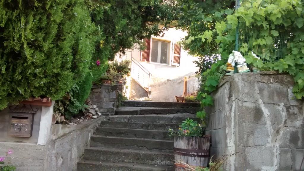 immagine annuncio 5 di 7