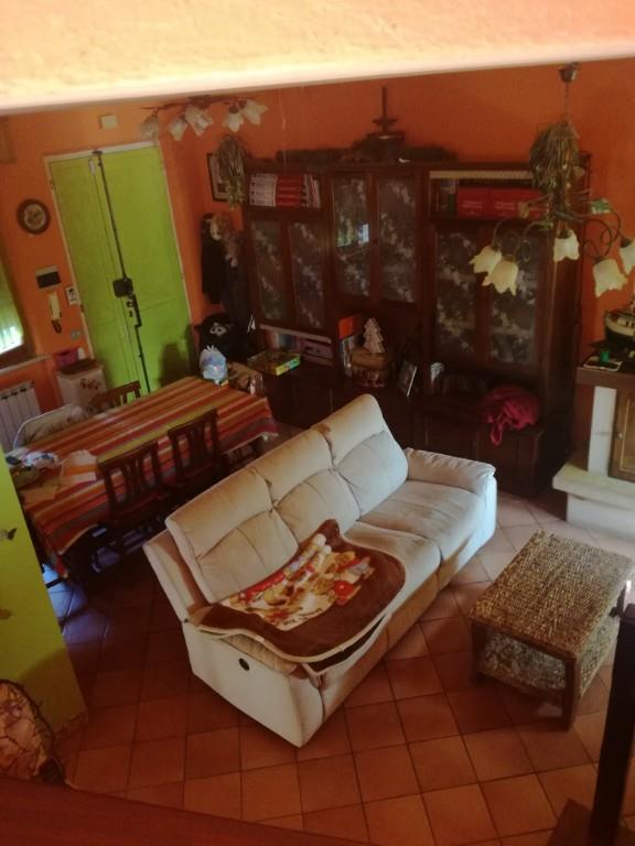 immagine annuncio 4 di 7