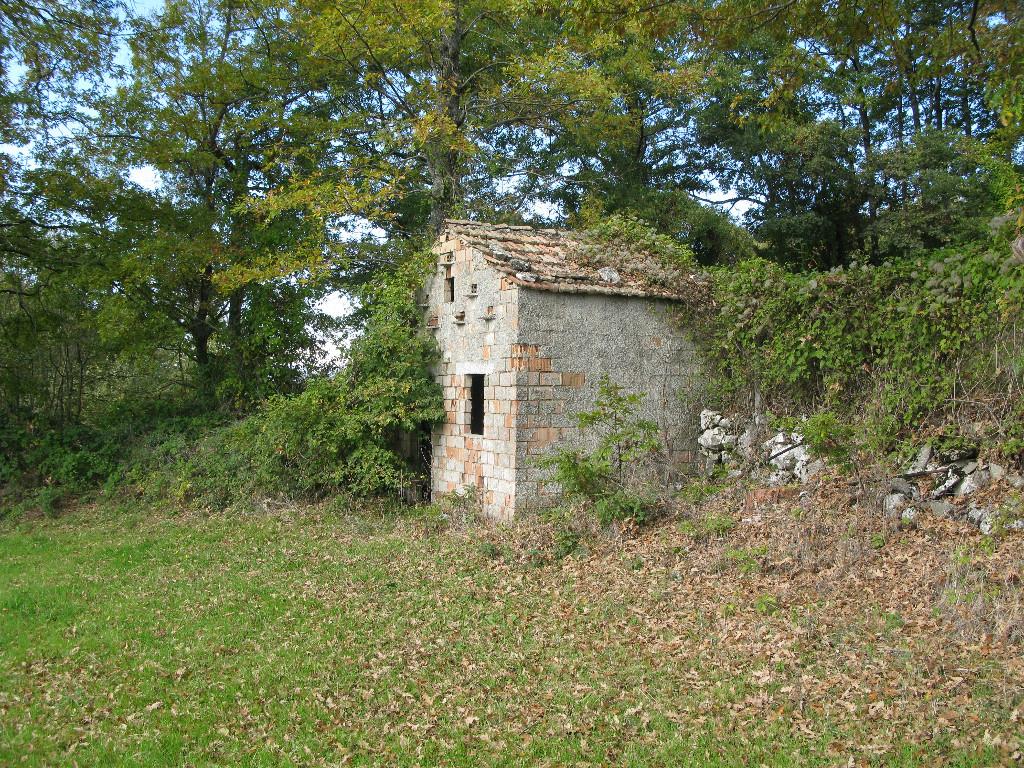 immagine annuncio 2 di 7