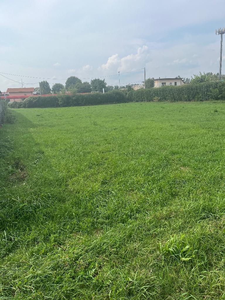 immagine annuncio 1 di 2