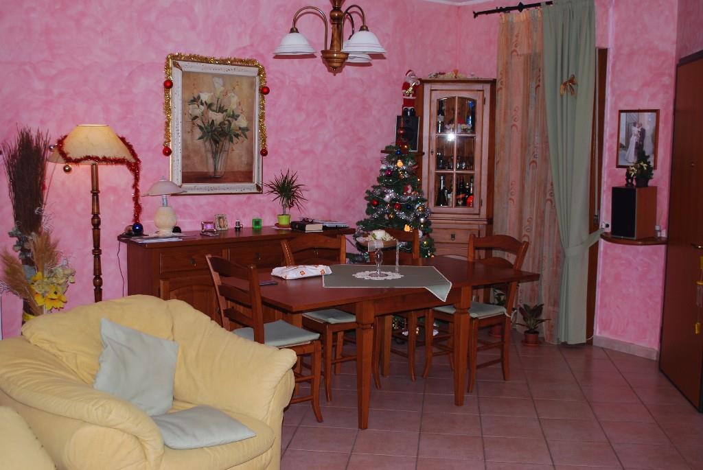 immagine annuncio 5 di 7