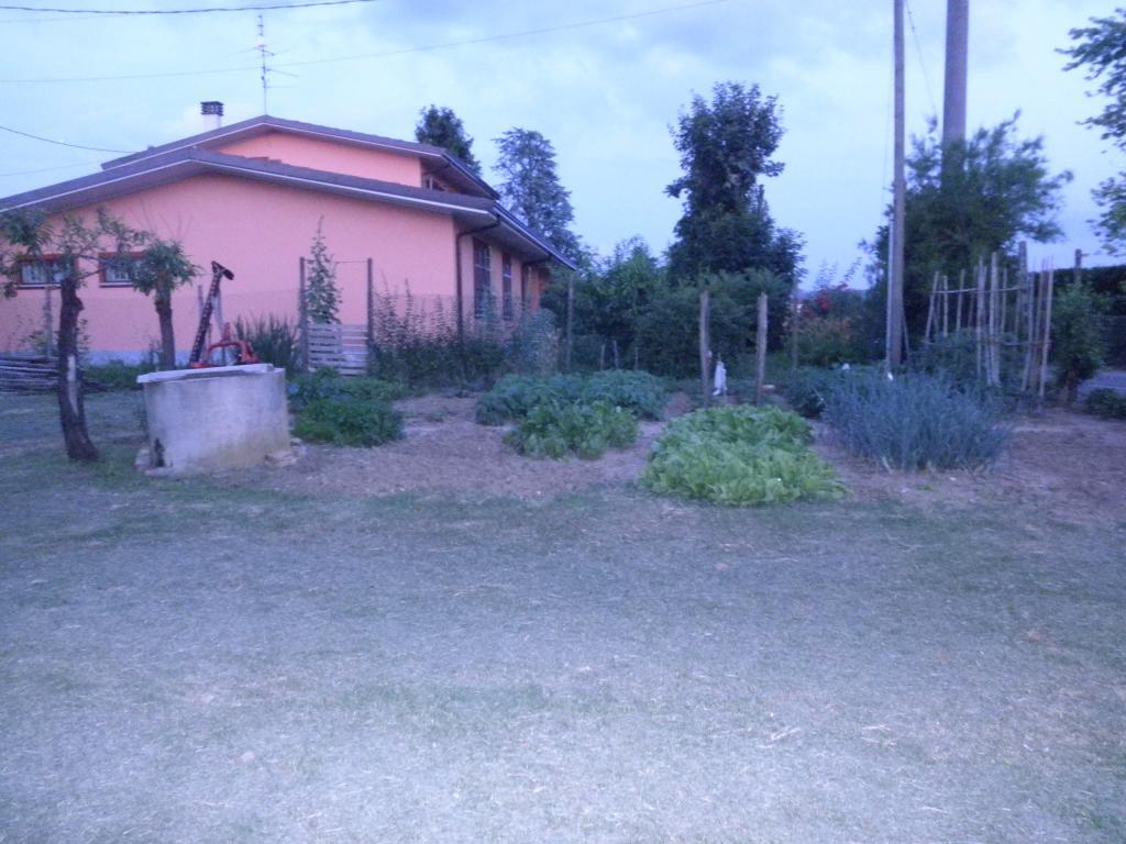 immagine annuncio 5 di 7