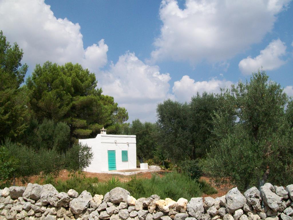 immagine annuncio 1 di 6