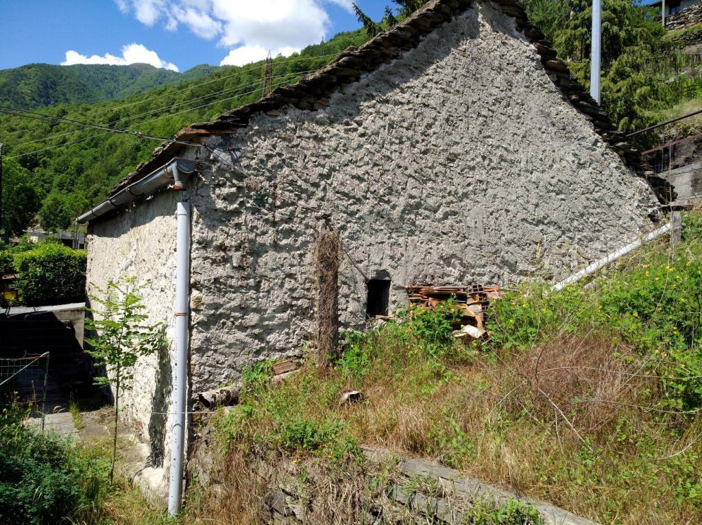 immagine annuncio 4 di 7