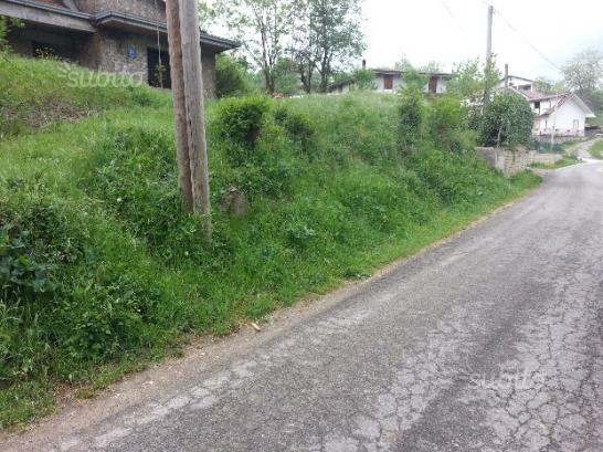 immagine annuncio 1 di 4