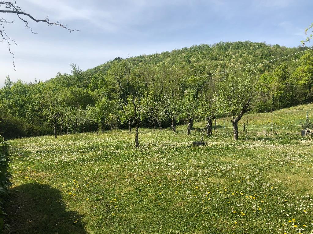 immagine annuncio 3 di 6