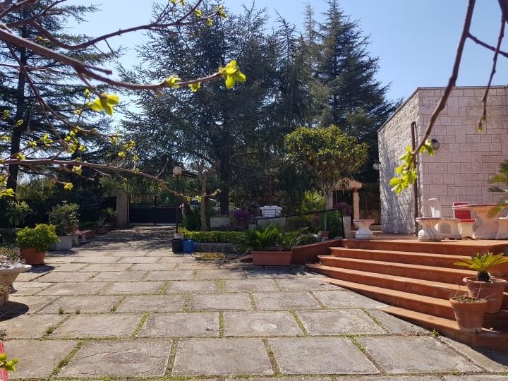 immagine annuncio 4 di 7