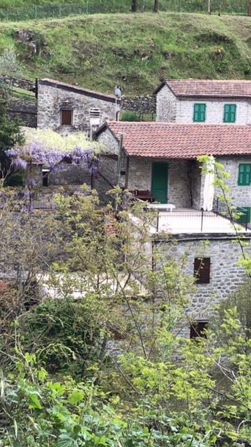 immagine annuncio 5 di 7