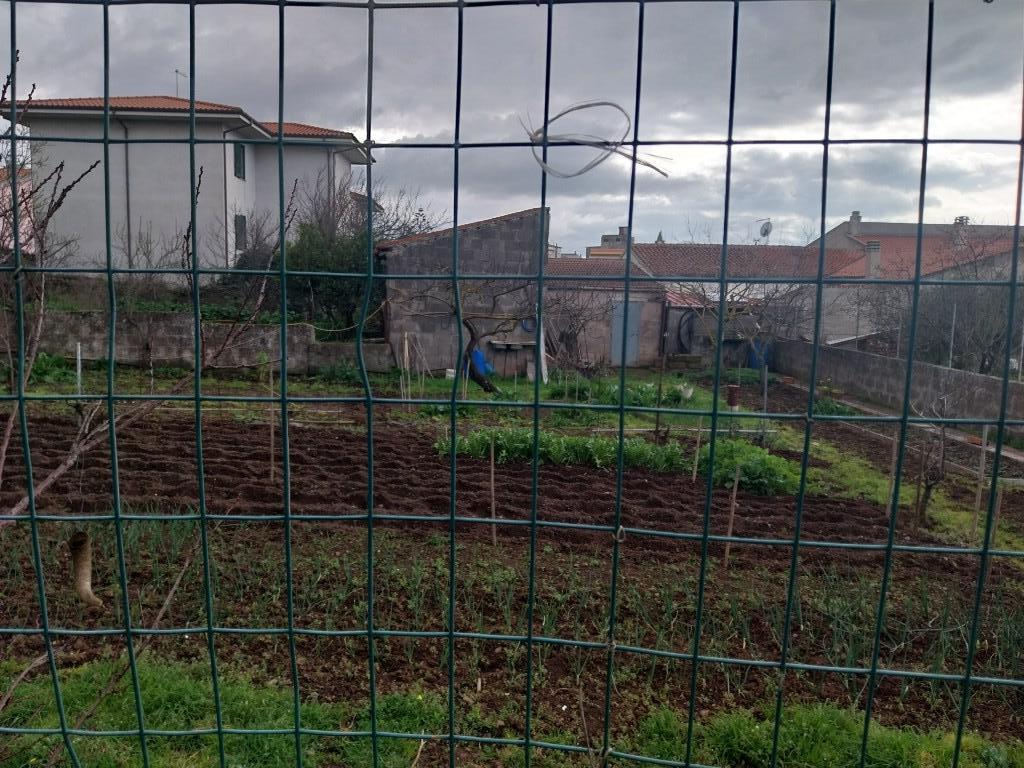 immagine annuncio 3 di 6