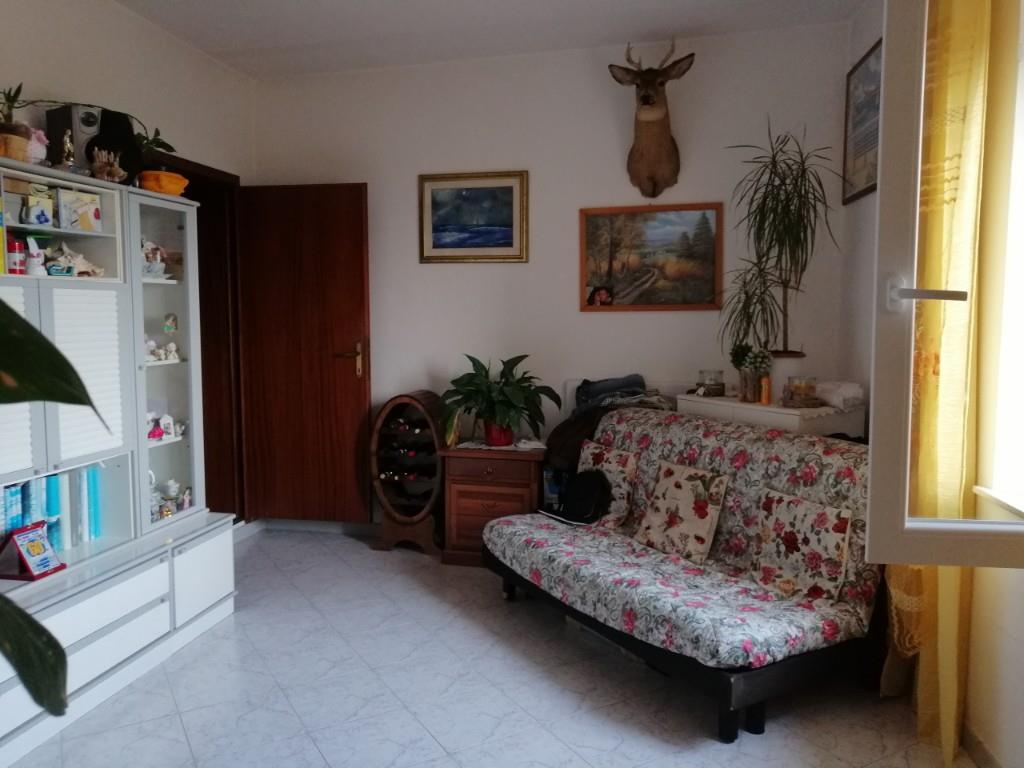 immagine annuncio 3 di 7