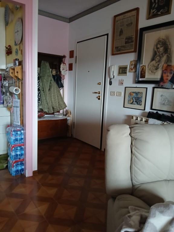 immagine annuncio 1 di 7