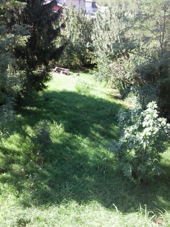 immagine annuncio 6 di 7