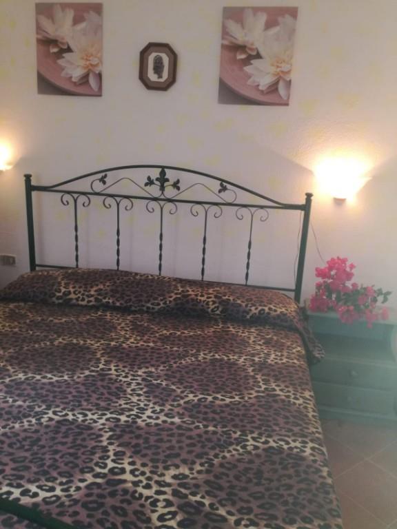 immagine annuncio 5 di 6