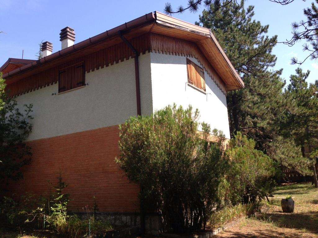 immagine annuncio 6 di 7