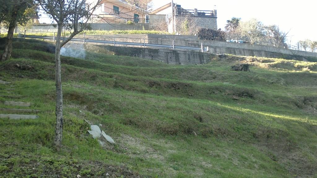 immagine annuncio 6 di 7