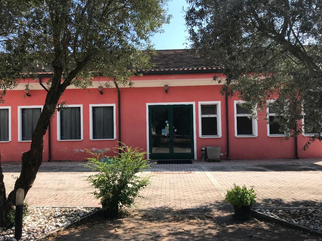 immagine annuncio 3 di 6