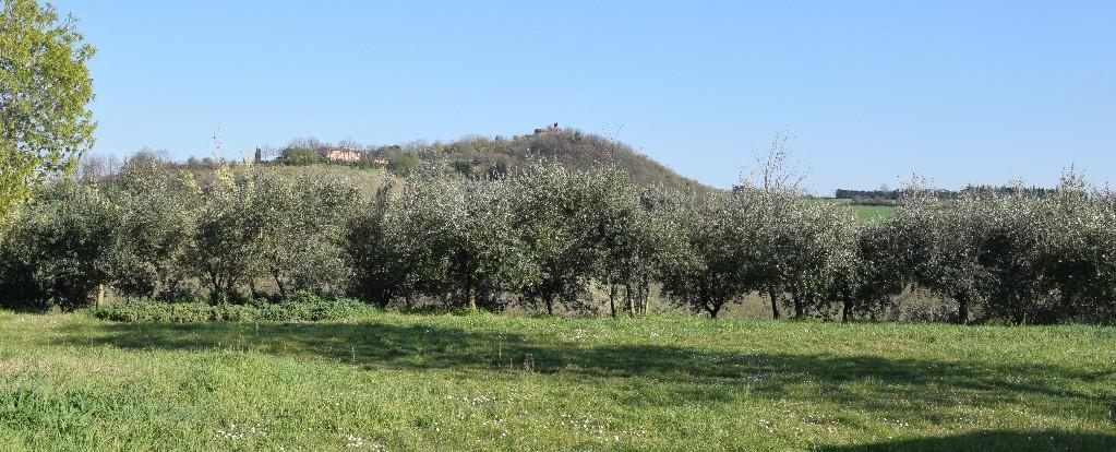 immagine annuncio 3 di 6