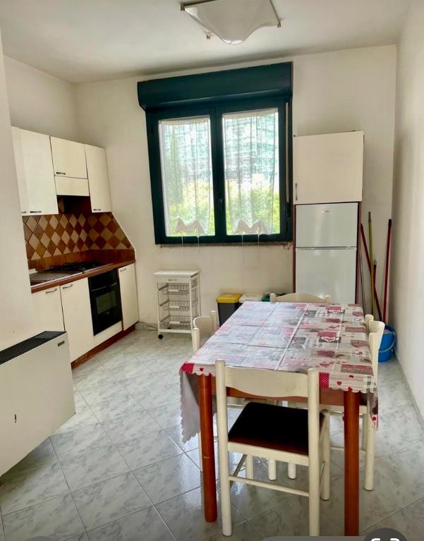 immagine annuncio 1 di 7