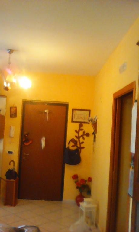 immagine annuncio 3 di 7