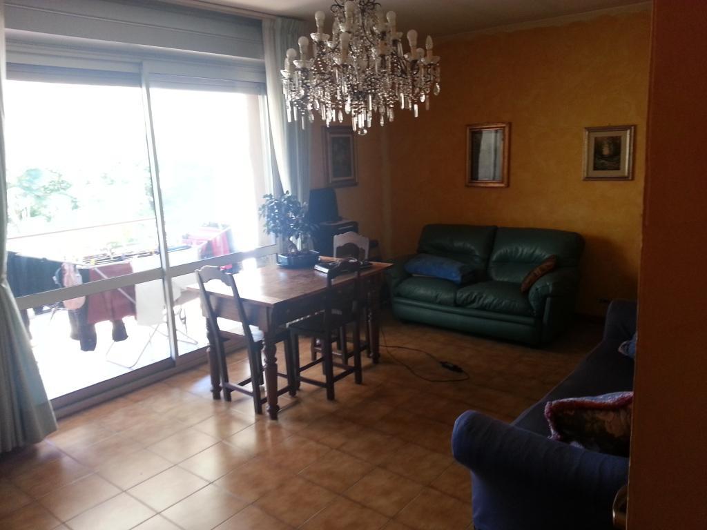 immagine annuncio 2 di 7