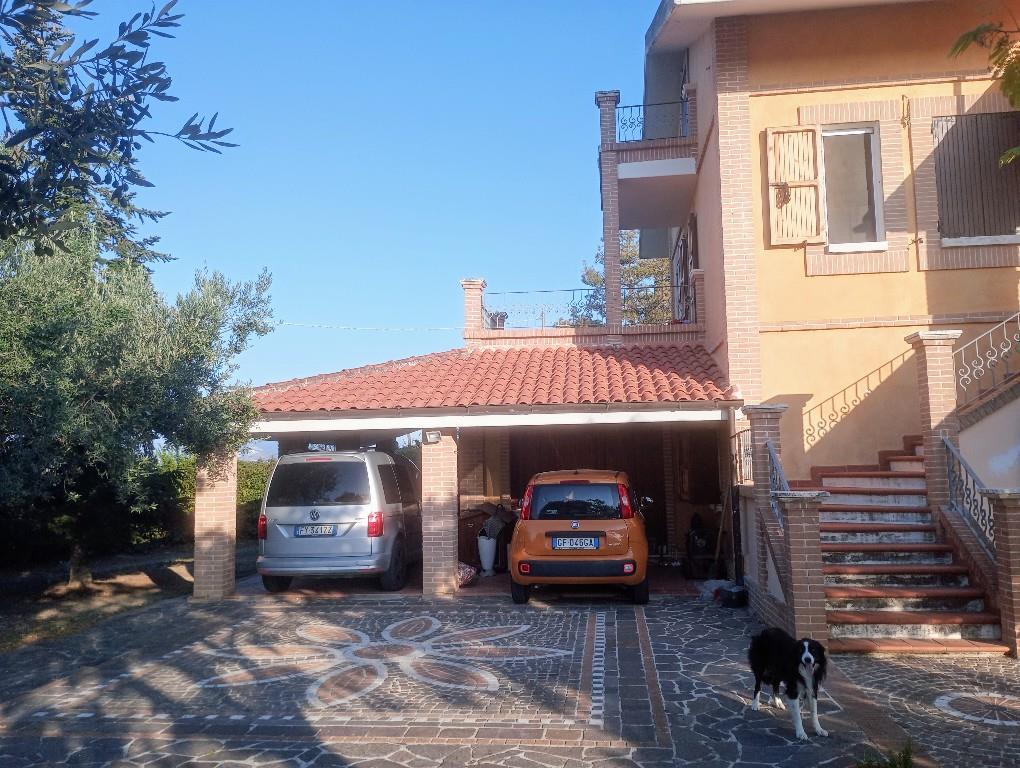 immagine annuncio 1 di 7