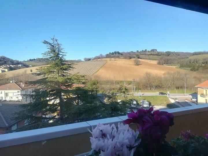 immagine annuncio 2 di 3