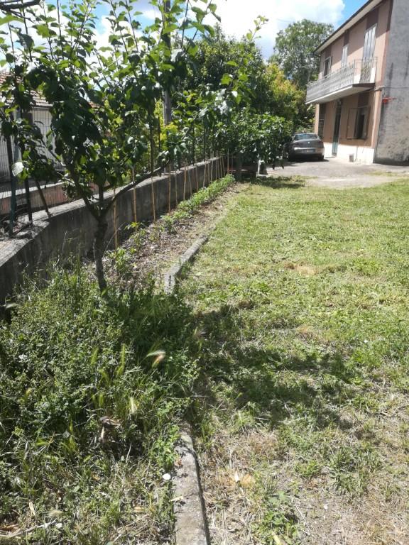 immagine annuncio 2 di 3