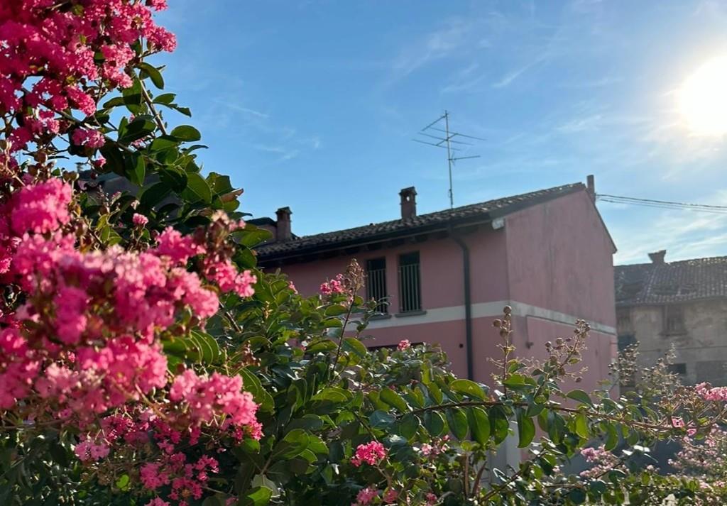immagine annuncio 1 di 6