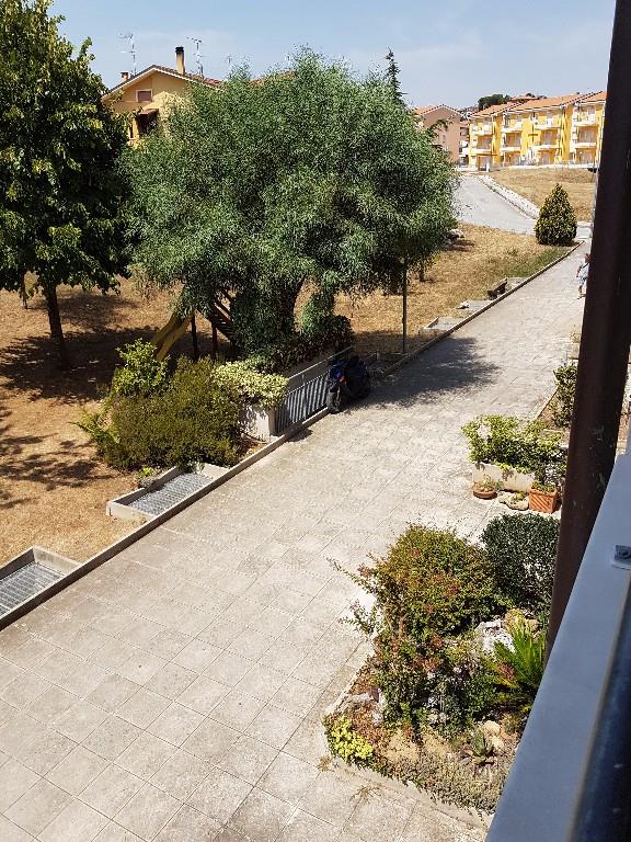immagine annuncio 5 di 6